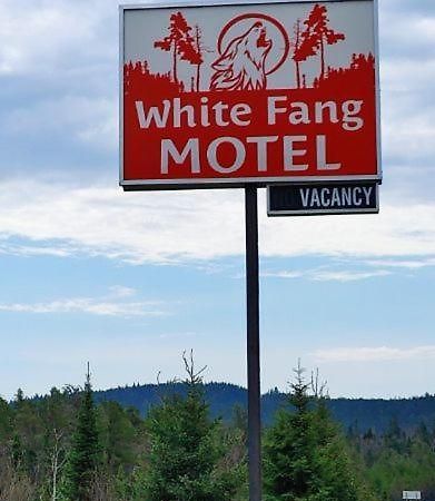 White Fang Motel Wawa Ngoại thất bức ảnh