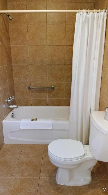 White Fang Motel Wawa Ngoại thất bức ảnh
