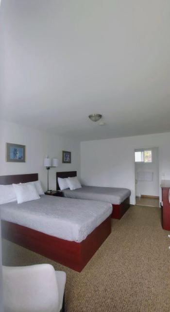 White Fang Motel Wawa Ngoại thất bức ảnh